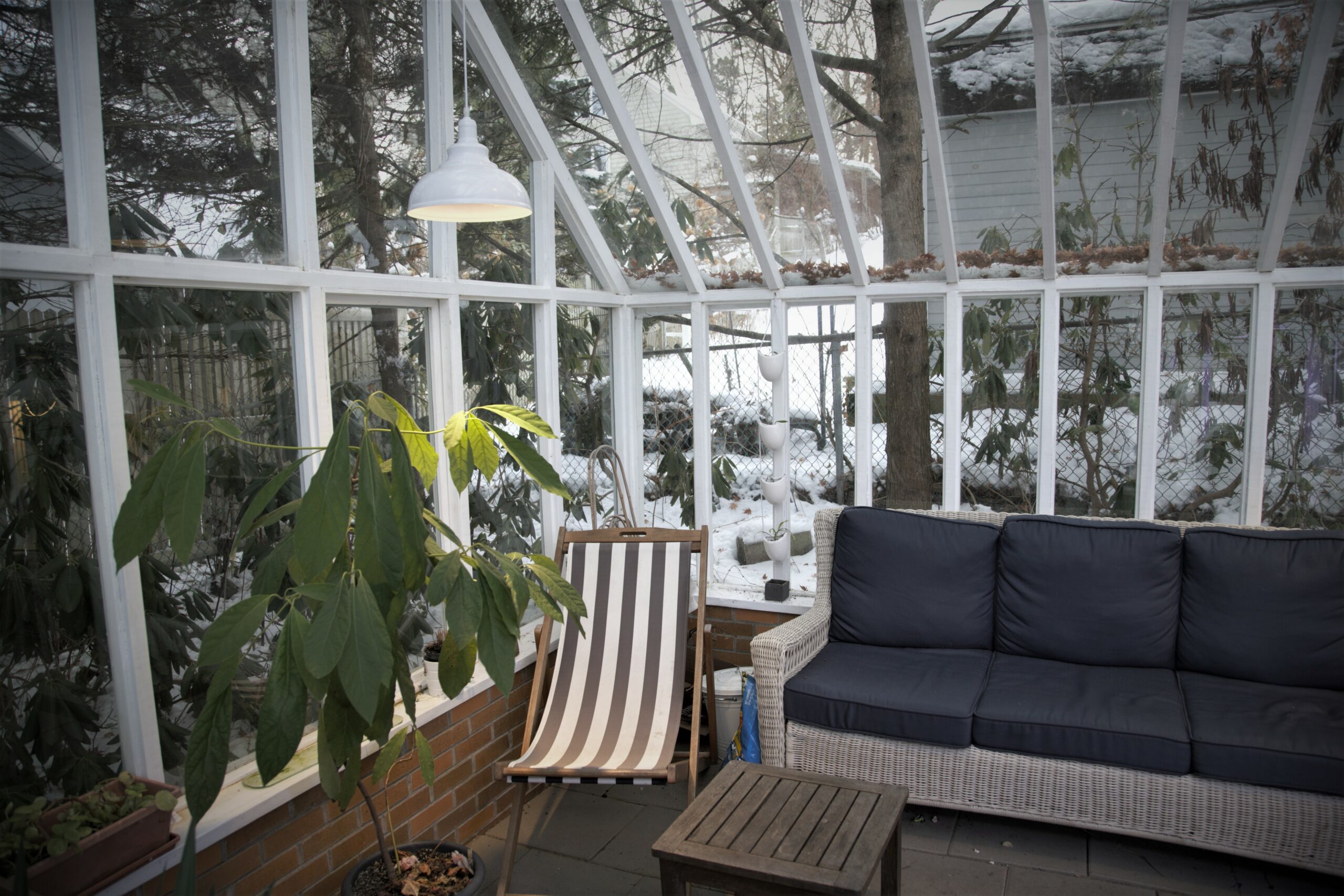 Gallery – New England Greenhouses